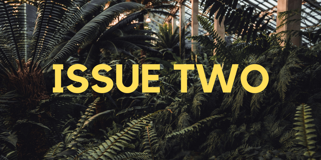 Issue 2