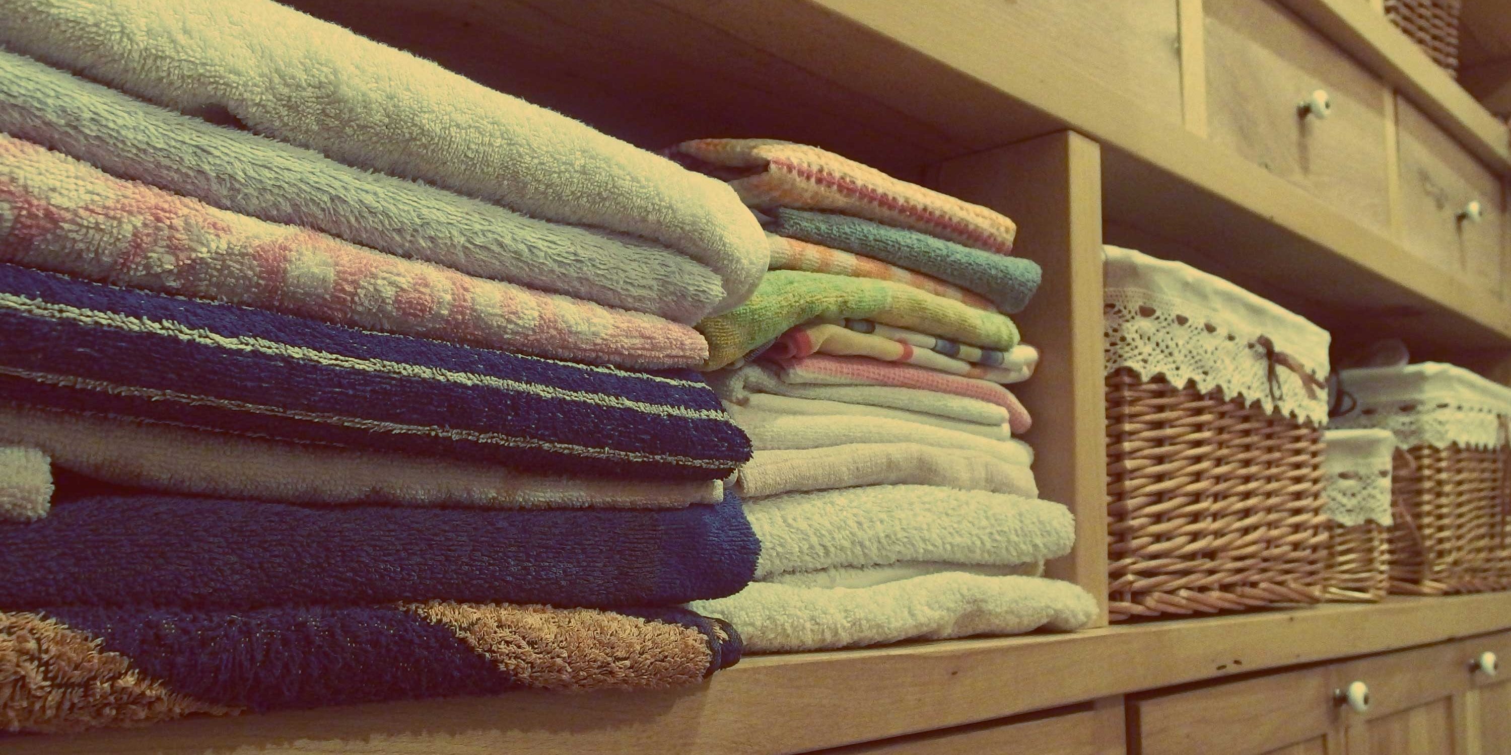 The Economics of Domesticity