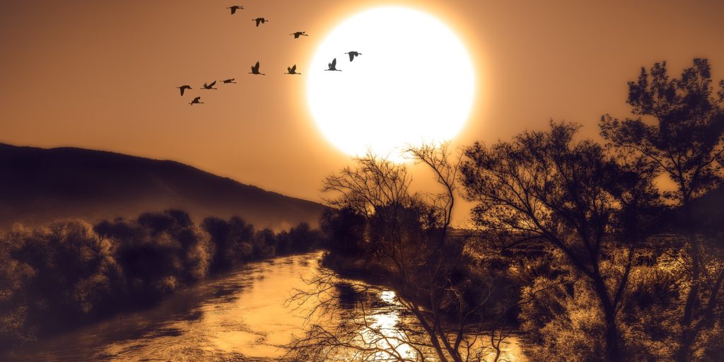 Three Poems
