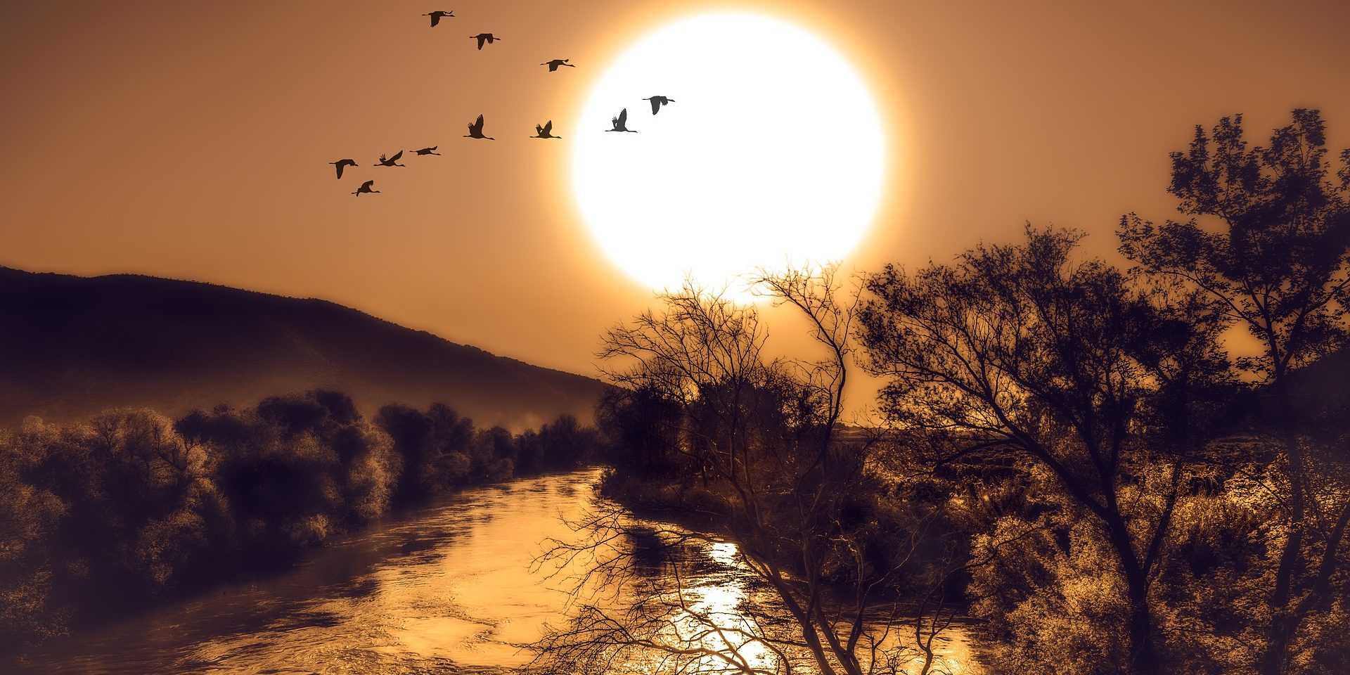 Three Poems