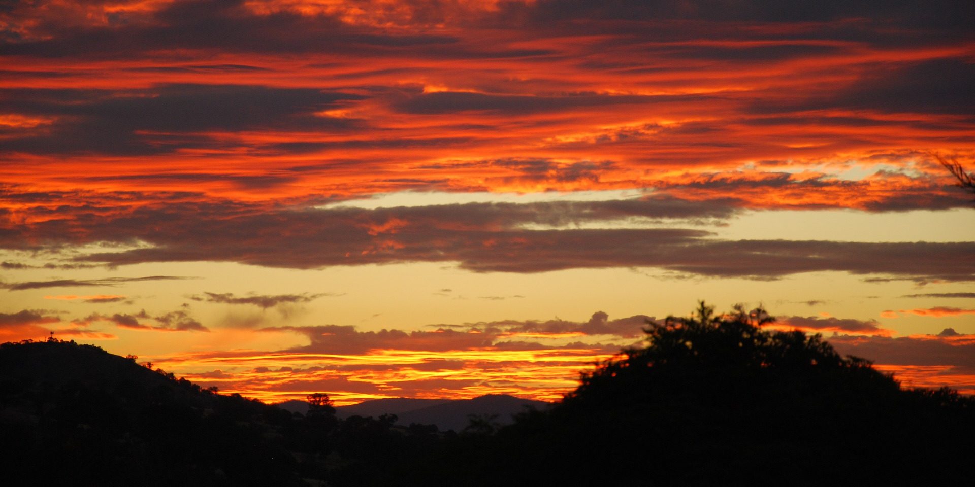 Return to Canberra